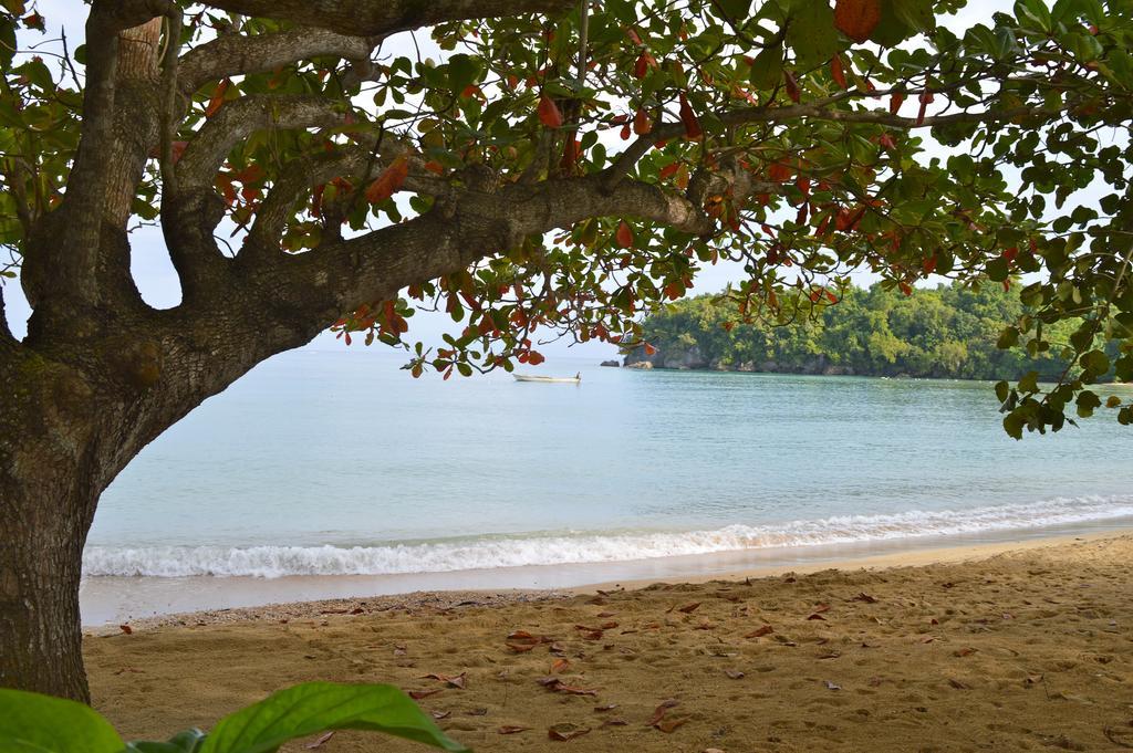 Kaz Kreol Beach Hotel Ocho Rios Zewnętrze zdjęcie