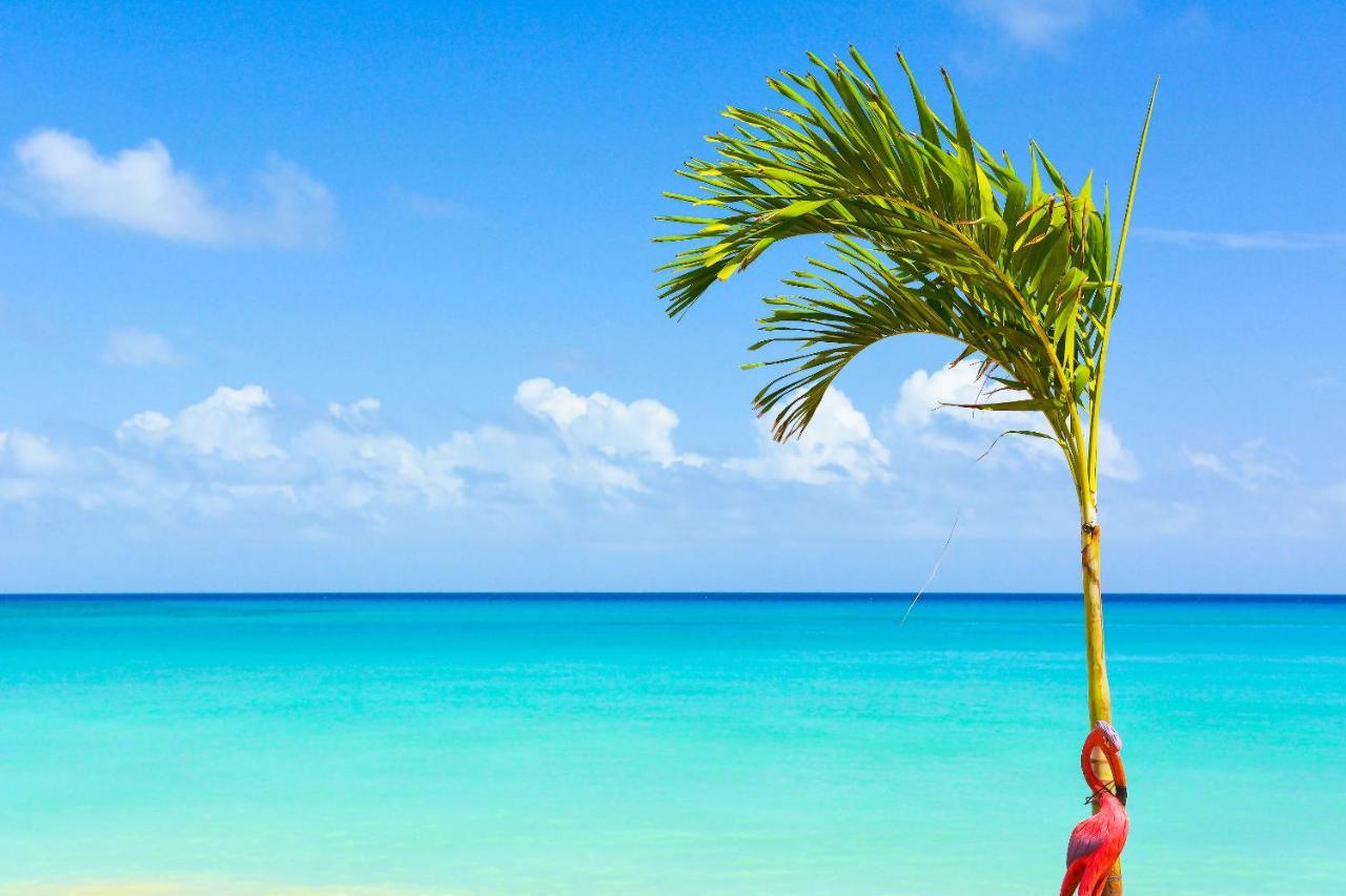 Kaz Kreol Beach Hotel Ocho Rios Zewnętrze zdjęcie